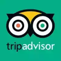 TripAdvisor Hotels Flights Restaurants Attractions